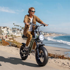 Electric Bike 48V 14Ah Battery 48V 750W Motor Recommended Top Speed 25KM/H 16inch Tires 45KM Max Mileage 150KG Max Load Electric Bicycle