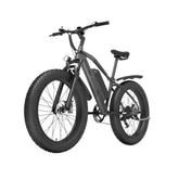 Electric Bike 20Ah 48V 1000W Motor Recommended Top Speed 25KM/H 26 Inches Tire Electric Bicycle 150km Mileage Max Load 200Kg