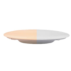 AC220-240V 36W 420mm Ceiling Lamp Bedroom Kitchen LED Ceiling Light RGB Dimming APP WIFI Voice Control