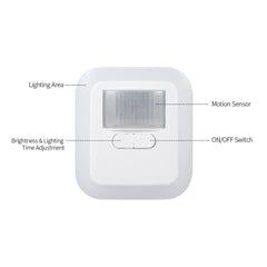 2.4W Light Control 10 Gears Dimming Delay Human Body Intelligent Induction Sound and Light Remote Control Energy Saving Brightness Night Light Bedroom