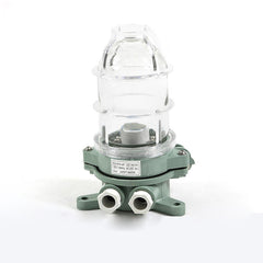 220V 60W Marine Pendent Work Light IP56 Waterproof Deck Wall Lamp