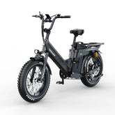48V 60AH Electric Bike, 1000W (Peak 2000W) Motor, 20 Inch Tires, Top Speed 25KM/H, 273-320KM Ultra Long Range