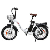 Electric Bike 48V 20Ah SamsungBattery 750W Motor Recommended Top Speed 25KM/H 20*4inches Tires 80-120KM Max Mileage 150KG Max Load Electric Bicycle