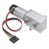 DC 24V Double Shaft Motor Reduction Gear Turbine Worm Self-locking Low Speed Motor