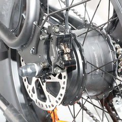 Electric Bike 48V 20AH Battery 1000W Motor Recommended Top Speed 25KM/H 20*4.0inch Tires 80KM Max Range 150KG Max Load Electric Bicycle