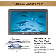 7-Inch DVR Underwater Fishing Camera: 12 IR LEDs, Sun-visor, Portable Video Fish Finder - See the Underwater World
