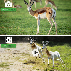 4K 36MP WiFi Trail Camera BT App Control Hunting Camera with 65ft Night Vision 120° PIR Detection IP65 Waterproof Optimized 5MP Image Sensor