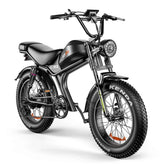 Electric Bike 48V 20AH Battery 1000W Motor Recommended Top Speed 25KM/H 20inch Tires 80-125KM Max Mileage 180KG Max Load Electric Bicycle