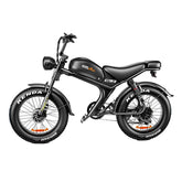 Electric Bike 48V 23Ah Battery Dual 1000W Motor 25KM/H 20 Inch Tire 80-150KM Range 180KG Load Capacity Mountain Ebike