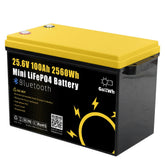 24V 100Ah LCD Energy Storage Box 2560Wh Solar Lithium Ion LiFePO4(LFP) Battery for RV Boat Home Energy Storage