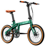 Ultralight Carbon Fiber Foldable E-Bike, 36V 7Ah, 250W Motor, 25KM/H, Hydraulic Brake, 20x2 Inch Tire, 30-40KM Range