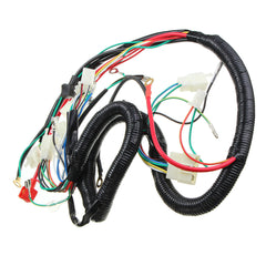 Quad Electric CDI Coil Wire Harness Stator Assembly Wiring Set