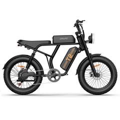 Electric Bike 48V 15.6AH 250W(Peak 1500W) Motor Recommended Top Speed 25KM/H 20inch Fat Tire 160KM Max Mileage 120KG Max Load Electric Bicycle