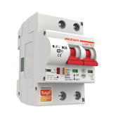 2P WiFi Smart Circuit Breaker Overload Short-circuit Protection Works with Alexa Google Home