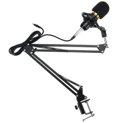 Microphone with Flexible Arm Mic Suspension Boom Scissor Stand Holder