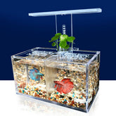 LED Light Acrylic Clear Aquarium Mini Betta Fish Tank Desktop Water Pump