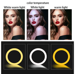 10inch RGB LED Ring Light Dimmable Selfie Ring Lamp Three Kinds of Color Temperature for Computer Live With Tripod