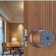 Smart Door Lock APP Fingerprint Password IC Card Key Unlock Battery Powered Support USB Charge