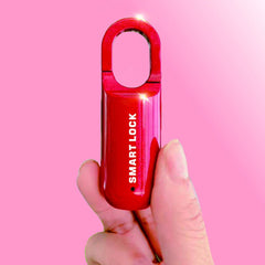 Fingerprint Lock Waterproof Mini USB Rechargeable Door Lock Quick Unlock Zinc Alloy Anti-theft Lock