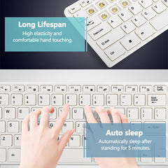 Ultra Thin 2.4GHz Wireless 101 Keys Keyboard and 1000DPI Mouse Combo Set With Keyboard Cover
