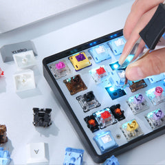 Mechanical Keyboard Triple Mode Hot Swappable Wired 2.4GHz Bluetooth 5.1 RGB 61 Keys ABS Keycaps Dareu Switch Rechargeable Gaming Keyboard