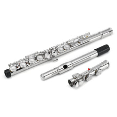 16 Holes C Key Colored Flute Nickel Plated Silver Tube Woodwind Instrument with Box