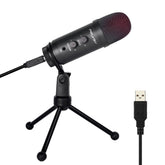 Condenser Microphone for Voiceover Work Online Singing Voice Overs USB Notebook PC Mic