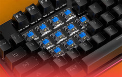 Mechanical Keyboard 87 Keys TKL Layout USB Wired Detachable Panel Blue/Black Switch Colorful Rainbow Backlit Gaming Keyboard for Laptop PC Gamer
