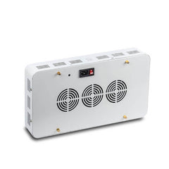 Double Chips LED Grow Light 600W/800W/1200W Full Spectrum Grow Lamp