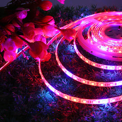 5M SMD5050 Waterproof Full Spectrum LED Plant Grow Strip Light for Greenhouse Aquarium DC12V