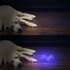 21LEDs 400nm Violet UV LED Flashlight Fluorescence Sterilization Banknote Detection Pen