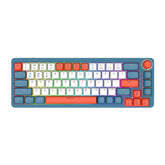 Custom Mechanical Gaming Keyboard 67 Keys RGB Switch Hot Swappable With Rotate Button