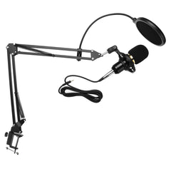 Microphone with Flexible Arm Mic Suspension Boom Scissor Stand Holder