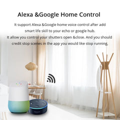 Google Home Alexa Curtain Switch Blind Switches For Standard Roller Motor Slide Engine Wifi APP Siri Control