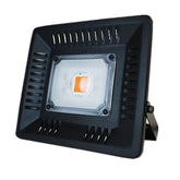 Full Spectrum 30W 50W COB LED Grow Light Waterproof Phyto Lamp for Indoor Plant Vegetable Flower AC220V