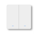 Wireless Transmitter Switch Vice Switch 2Gang