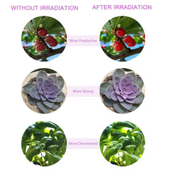 LED Grow Light Remote Control Plant Growing Lamp Lights with Tripod for Indoor Plants