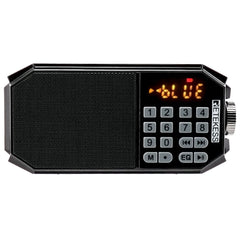 FM Radio 3W Bluetooth Speaker Music Player