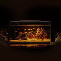 Intelligent Aquariums Smart Lighting System 4 Filtration APP Control Fish Tank with HD Glass Body Modular Function Design