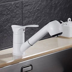 Pull Out Kitchen Faucet Water-Saving Polished Basin Mixer Brass Hot and Cold Tap