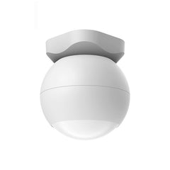Security Alarm Ceiling-mounted Human Body Sensor Infrared Alarm Home Alarm Detector