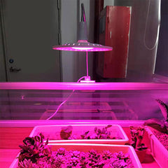 40w LED Plant Lamp Full Spectrum Cob Plant Growing Table Light Clip Switch Succulent Flower Fill Light Growth Lamp
