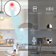 Smart Home Wireless Combustible Gas Sensor App Displays Gas Leakage Detector Audible and Visual Alarm