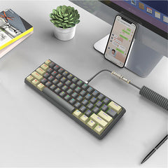 DIY 61 Key Gaming Mechanical Keyboard With Hot swappable OEM RGB Lighting Effect Coiled Cable Mini Wired Keyboard