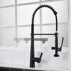 Kitchen Faucet with Flexible Pull-Down Sprayer