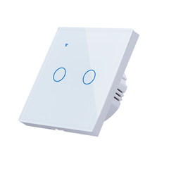 WiFi+RF433 Smart Light Touch Switch 2Gang EU Wireless Remote Control Works with Alexa Google Home