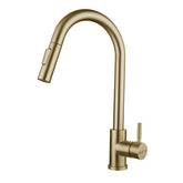 Stainless Steel Kitchen Faucet 360 Rotation With Pull Down Sprayer Fingerprint Resistant Hot Cold Water Mixer Tap