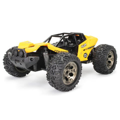 2.4G 2WD High Speed 25KM/H RC Car Dessert Buggy Vehicle Model
