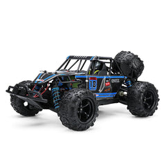 With Two Batteries 1/18 2.4G 4WD 40km/h RC Car Electric Off-Road Vehicles RTR Model