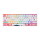 Mechanical Keyboard 61 Keys Wired Hot Swappable Gateron Prelubricate Switch RGB Cherry Profile PBT Keycaps Gaming Keyboard